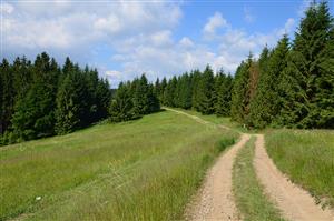 Poľná cesta vedúca cez lokalitu